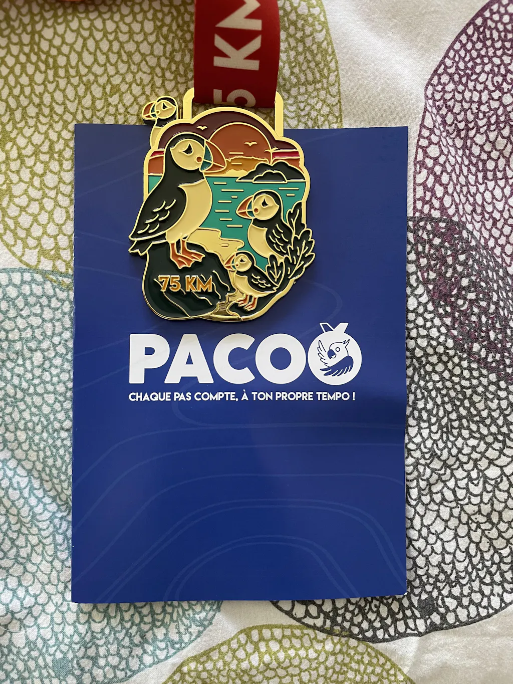 Pacoo Challenges