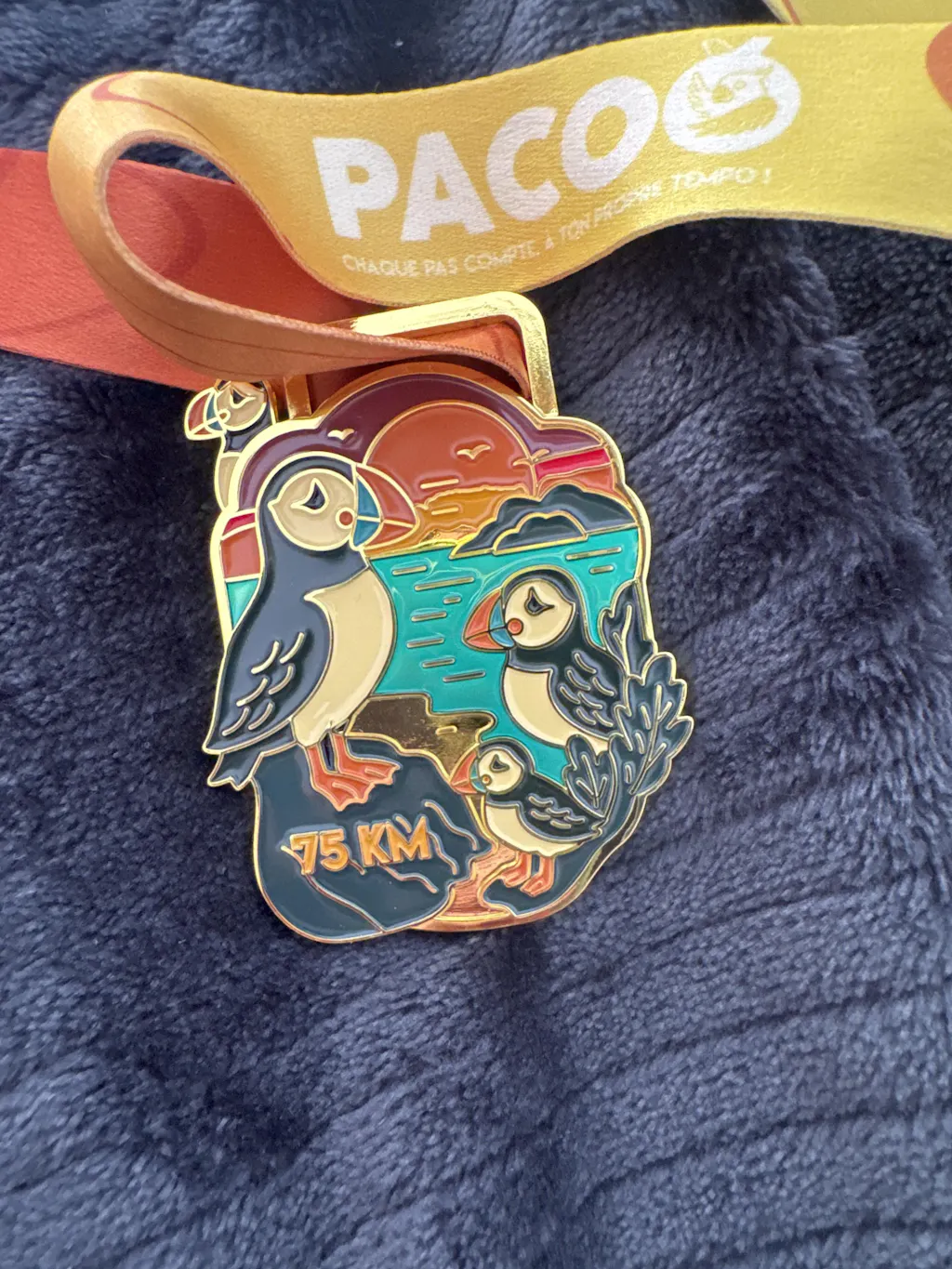 Pacoo Challenges