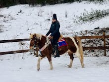 Custom Country Flag Saddle Pad