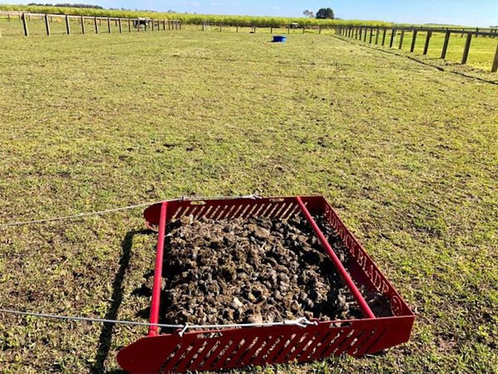 Paddock Blade Horse Manure Collector Cherry Red | Premium Australian Made