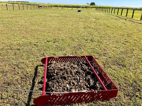 Paddock Blade Horse Manure Collector Cherry Red | Premium Australian Made