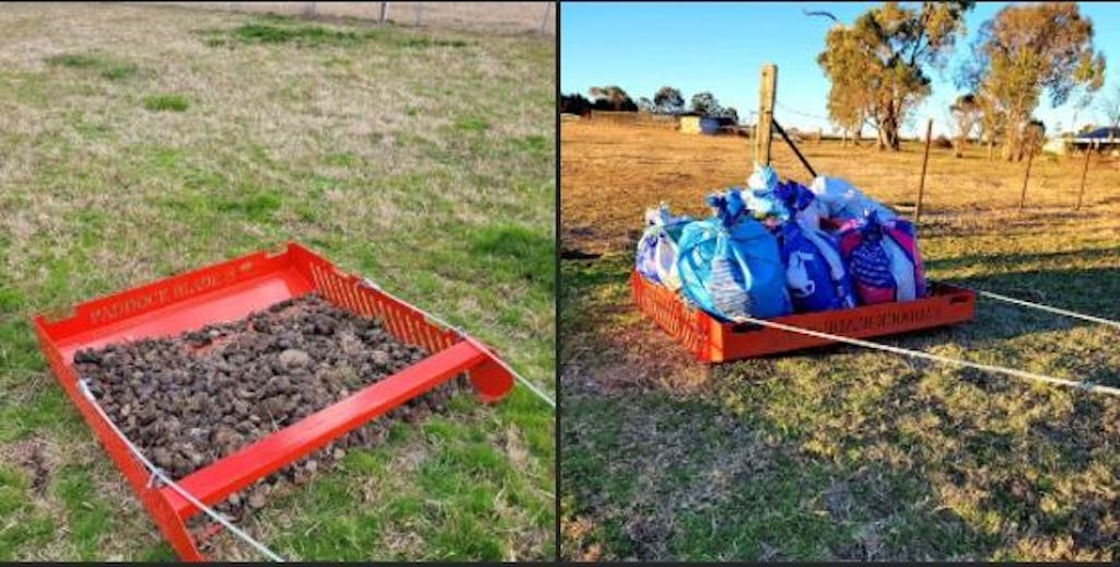 Paddock Blade Horse Manure Collector Cherry Red | Premium Australian Made