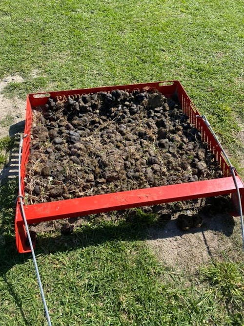 Paddock Blade Horse Manure Collector Cherry Red | Premium Australian Made