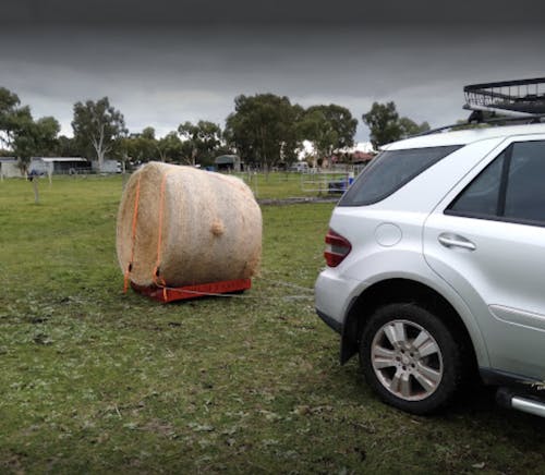 Paddock Blade Horse Manure Collector Cherry Red | Premium Australian Made