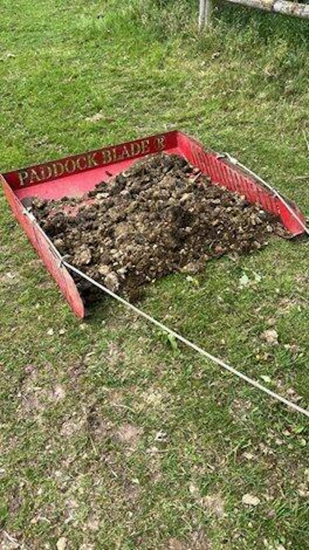 Paddock Blade Horse Paddock Cleaner Signal Red | Premium British Made | Free Delivery