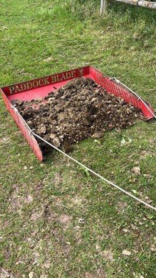 Paddock Blade Horse Paddock Cleaner Signal Red | Premium British Made | Free Delivery