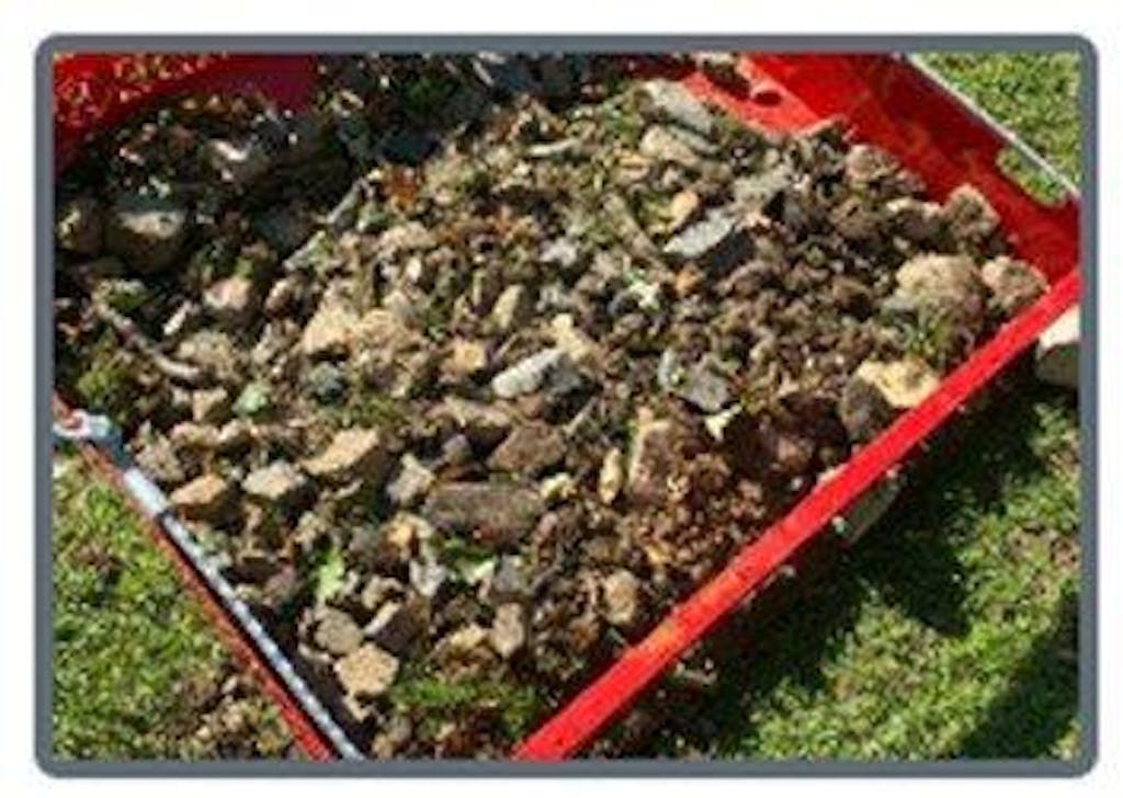 Paddock Blade Horse Paddock Cleaner Signal Red | Premium British Made | Free Delivery