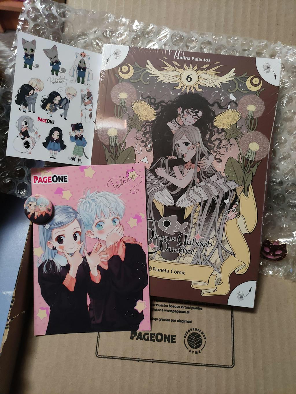 Mientras Yubooh Duerme 06 - Chile