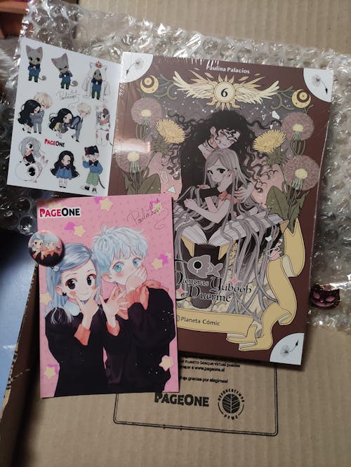 Mientras Yubooh Duerme 06 - Chile