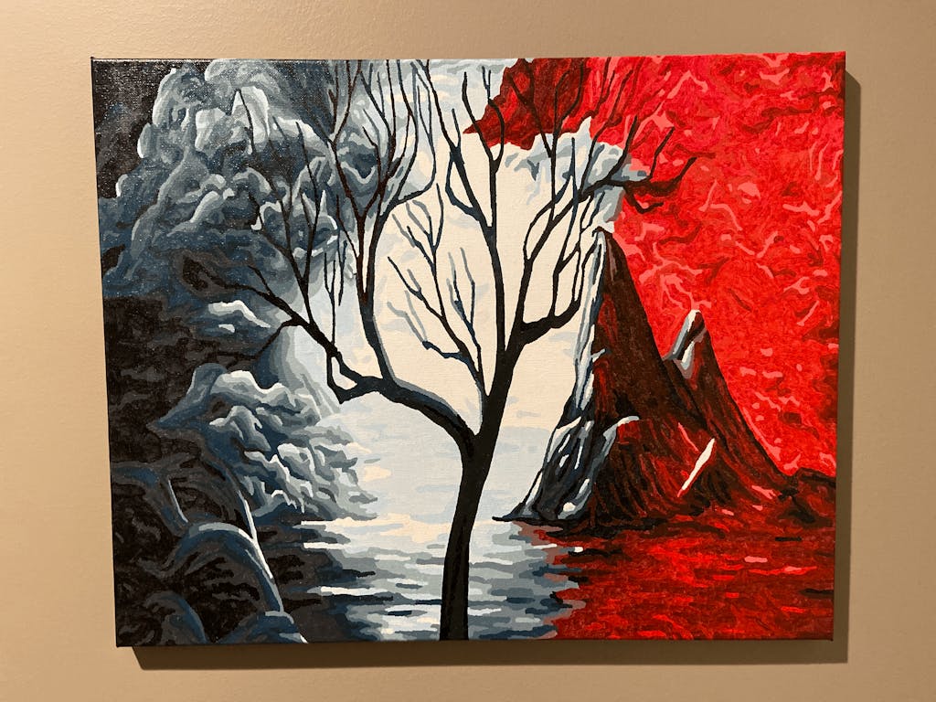 Dark to Light Paint By Numbers Shop