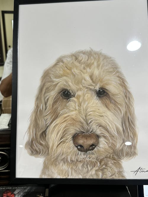 Custom Hand-Painted Pet Portrait (One or Multiple Photos merged)