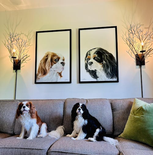 Custom Hand-Painted Pet Portrait (One or Multiple Photos merged)