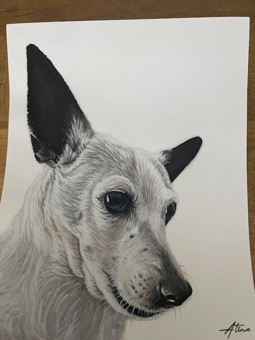 Custom Hand-Painted Pet Portrait (One or Multiple Photos merged)
