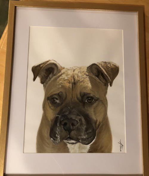 Custom Hand-Painted Pet Portrait (One or Multiple Photos merged)
