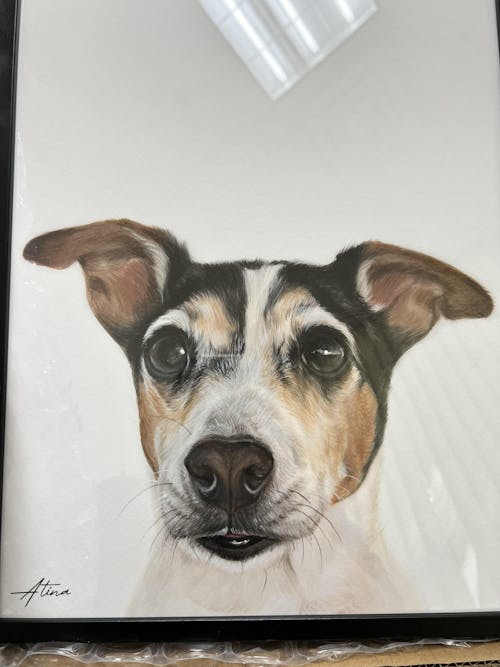 Custom Hand-Painted Pet Portrait (One or Multiple Photos merged)