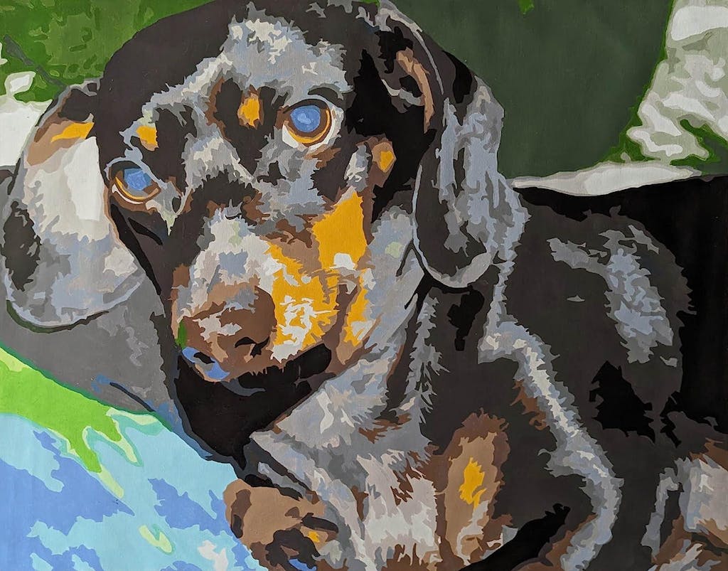 Personalised Paint by Numbers from Your Photo