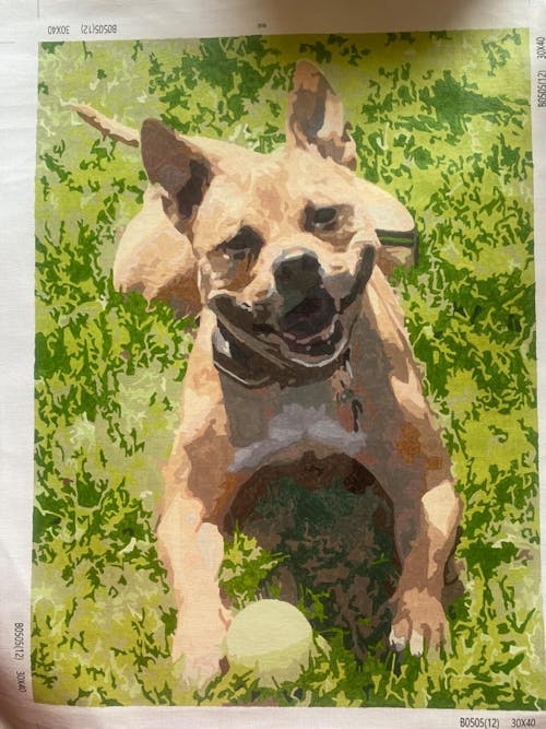 Paint by Numbers Personalised Photo