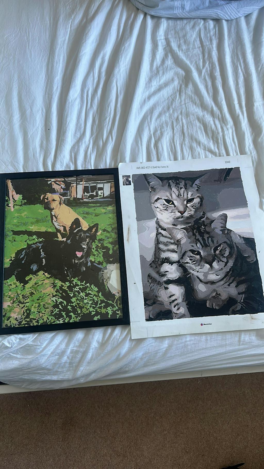 Personalised Paint by Numbers from Your Photo