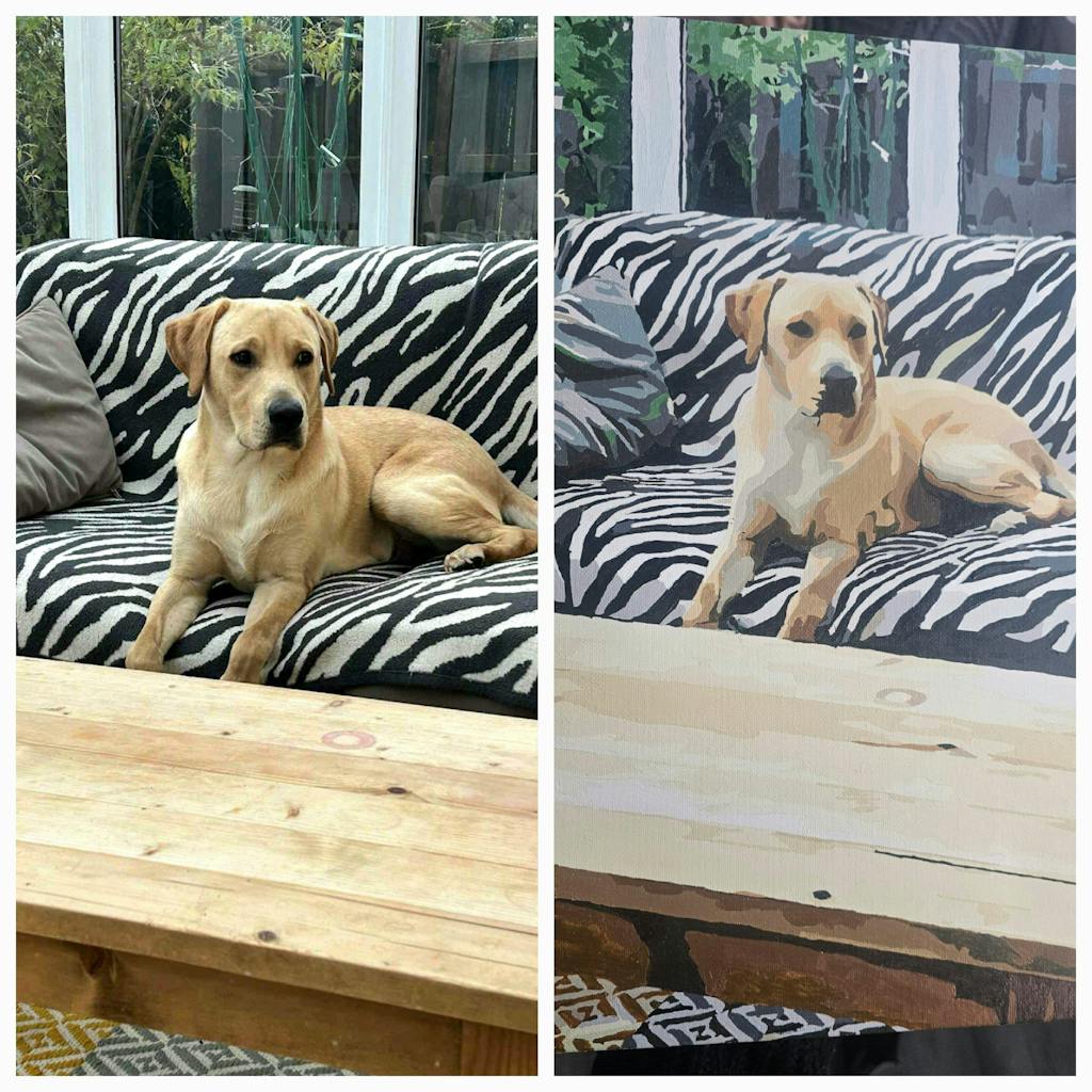 Personalised Paint by Numbers from Your Photo