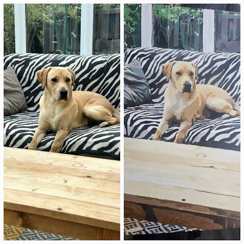 Custom Paint by Numbers from Your Photo