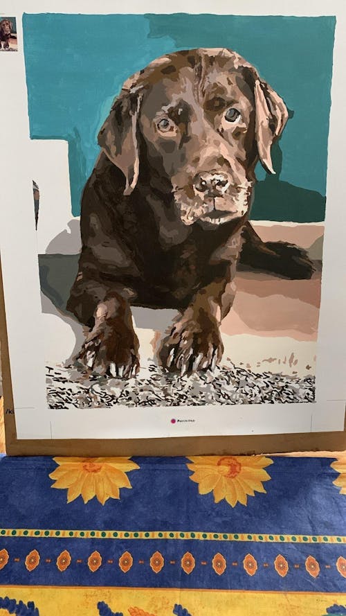 Custom Paint by Numbers from Your Photo