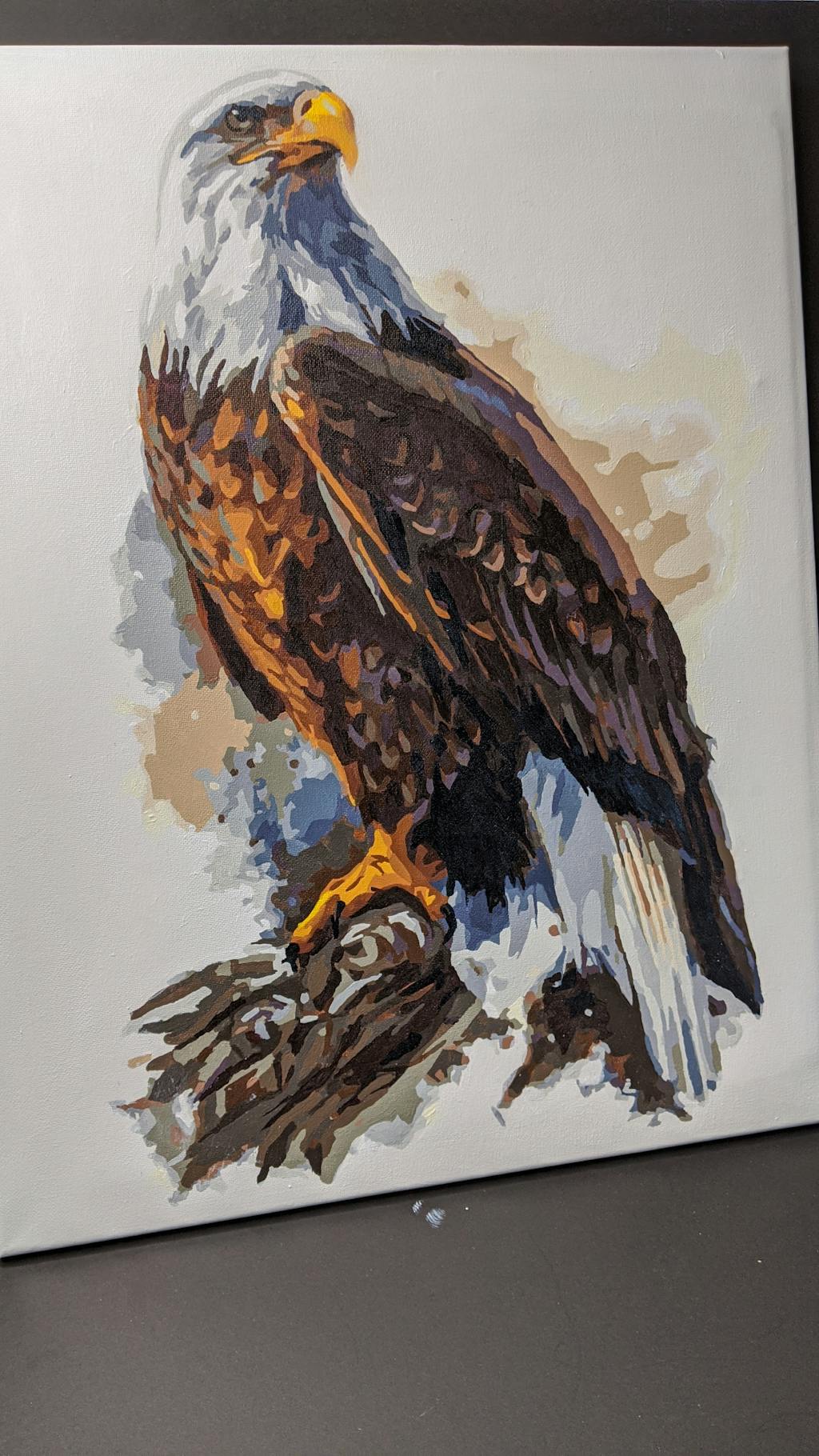 Bald Eagle Paint By Numbers