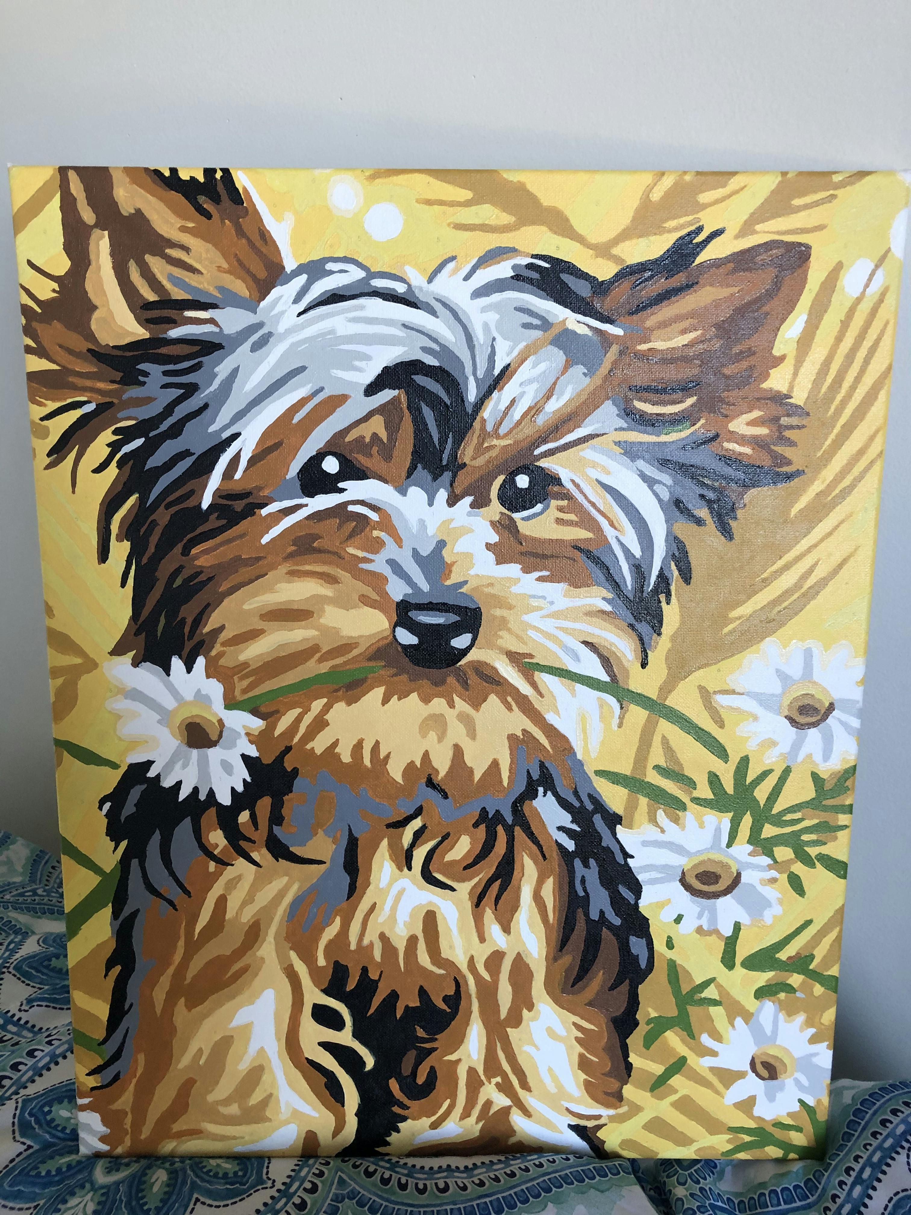 Flower Yorkie Paint By Numbers Shop