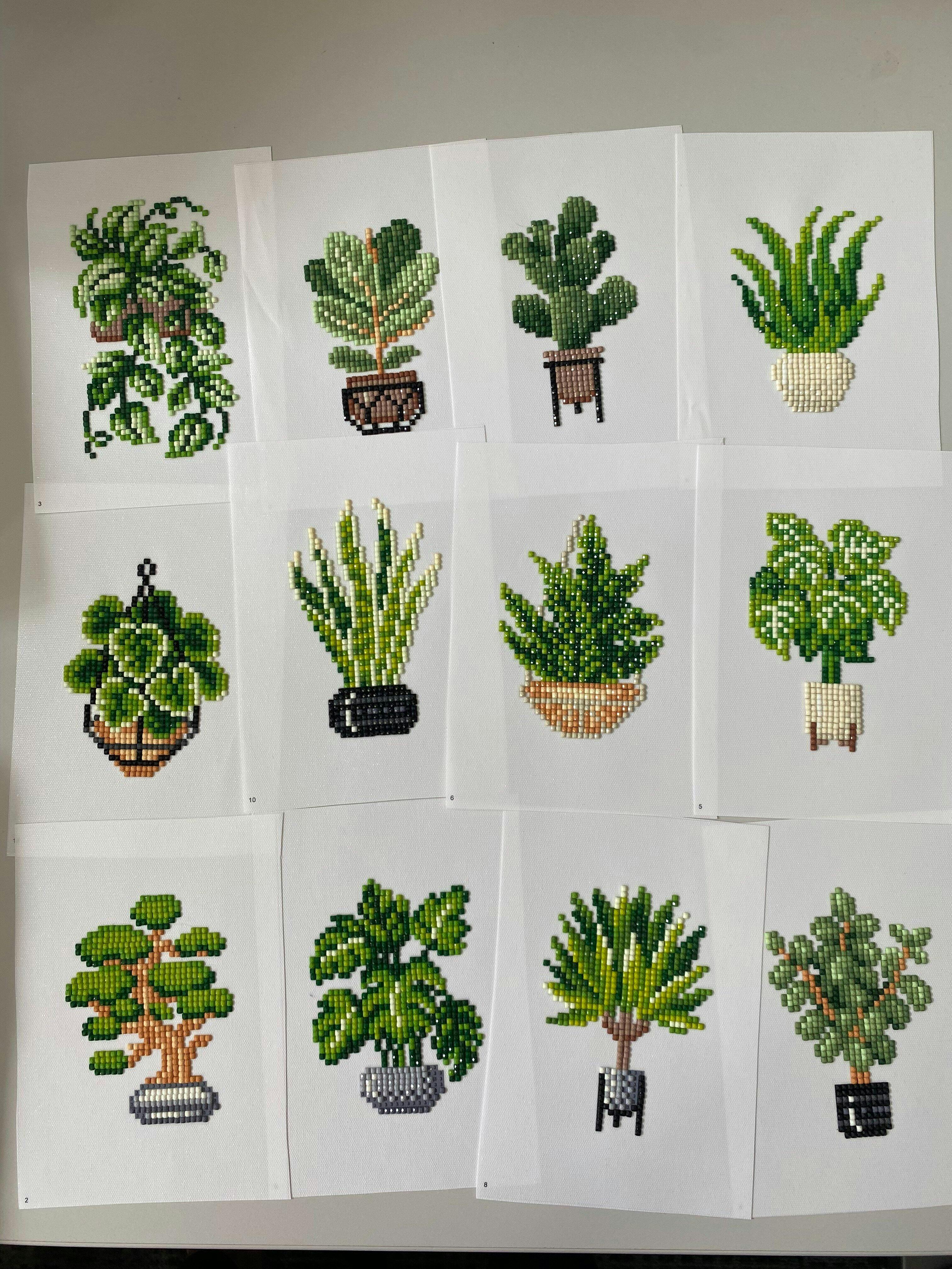 Houseplants Edition
