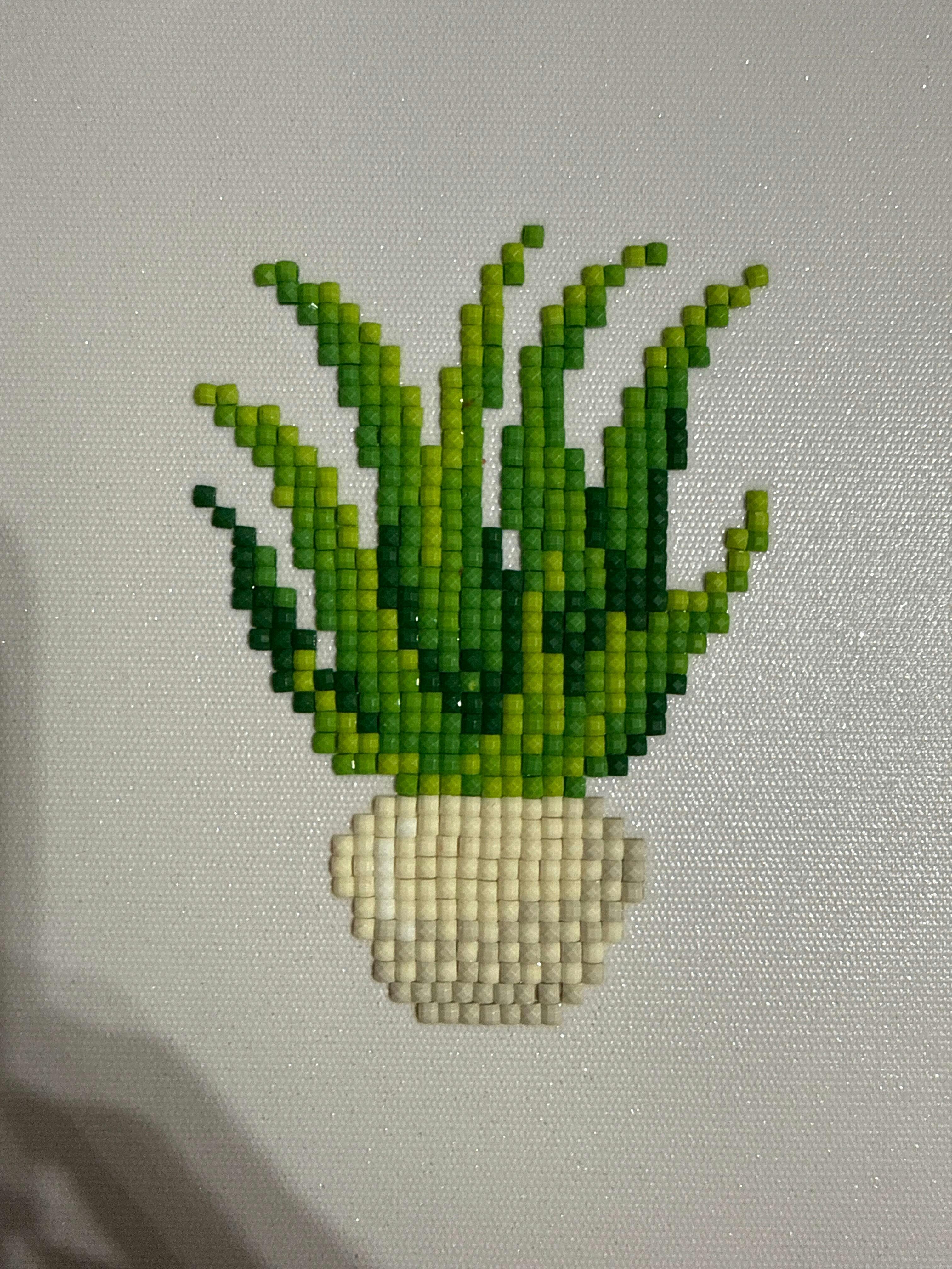 Houseplants Edition