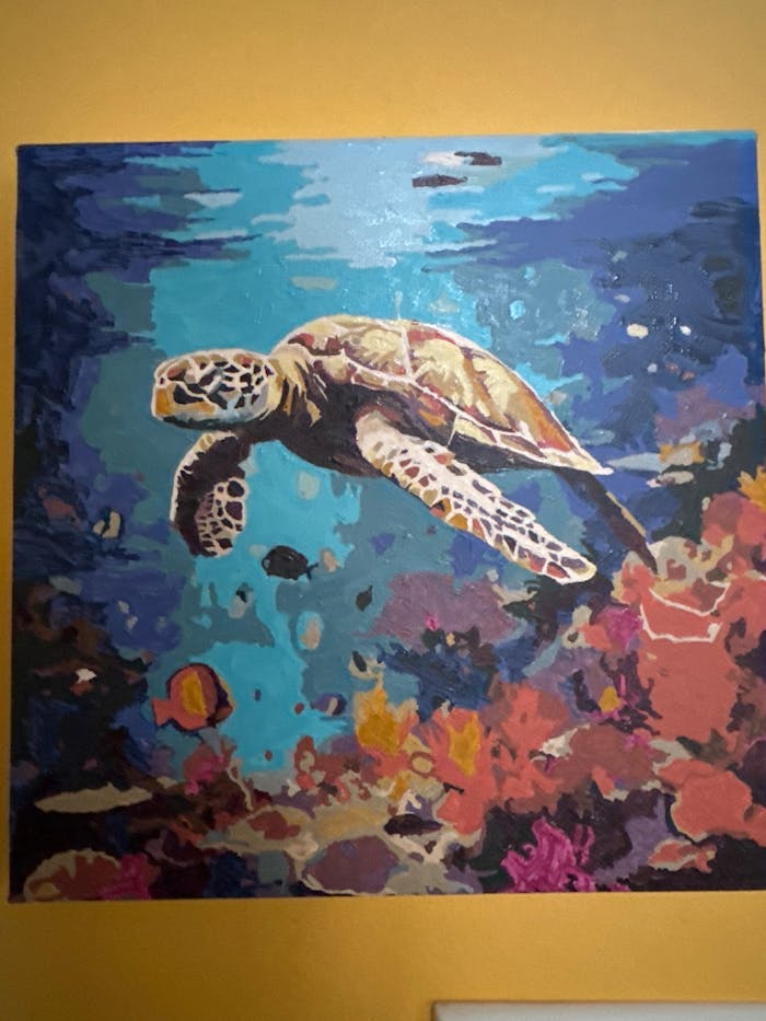 Sea Turtle Coral Voyage