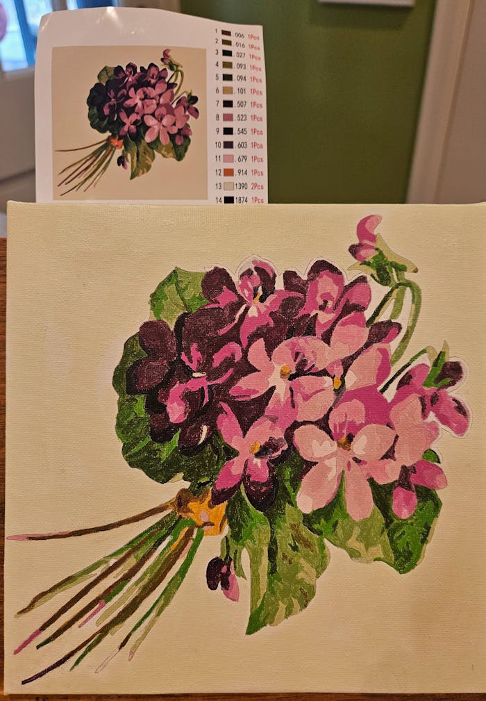 Painting By Numbers Shop