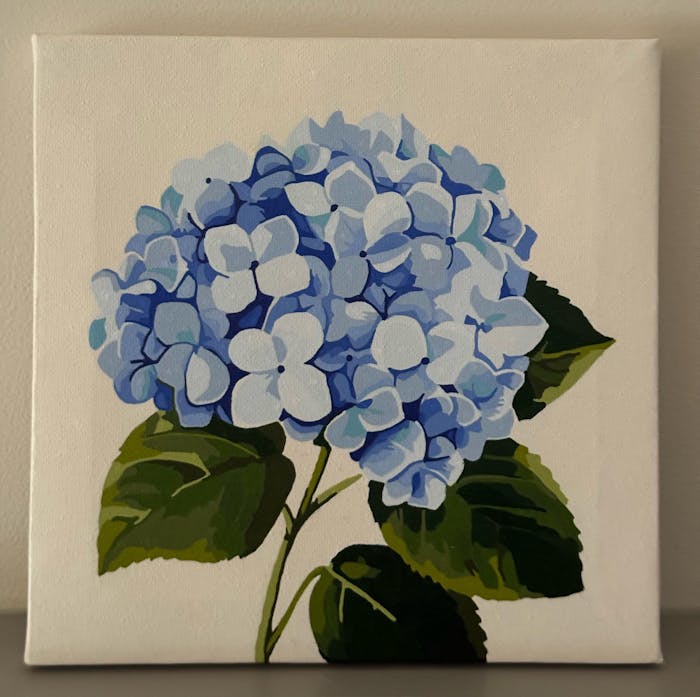 Mini Blue Hydrangea - Paint by Numbers