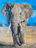 Paint By Numbers | Elephant - Brown Elephant