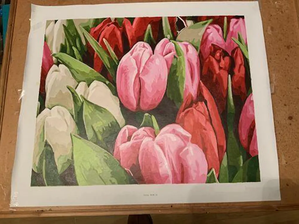 Schilderen op Nummer Tulpen | Voor 23:59u, morgen in huis