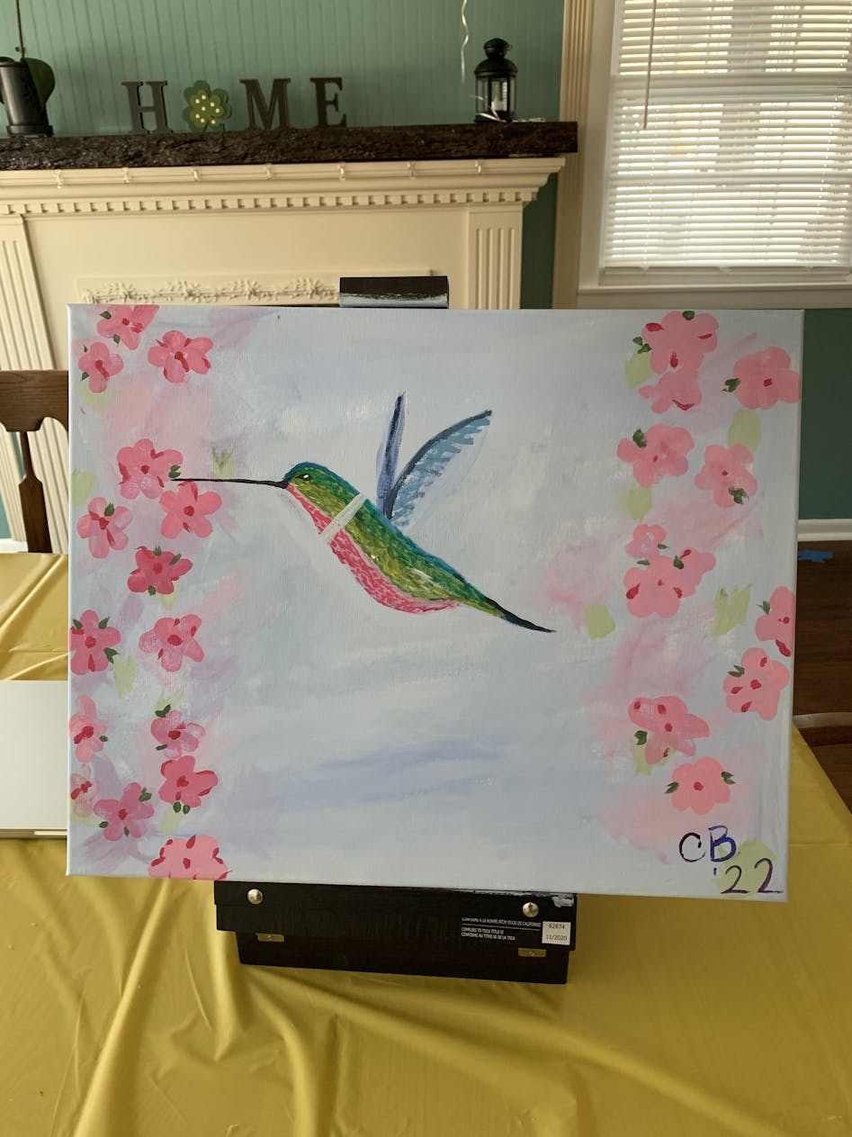 Hummingbird MINI Paint-by-Number Kit – Stitchin' Post
