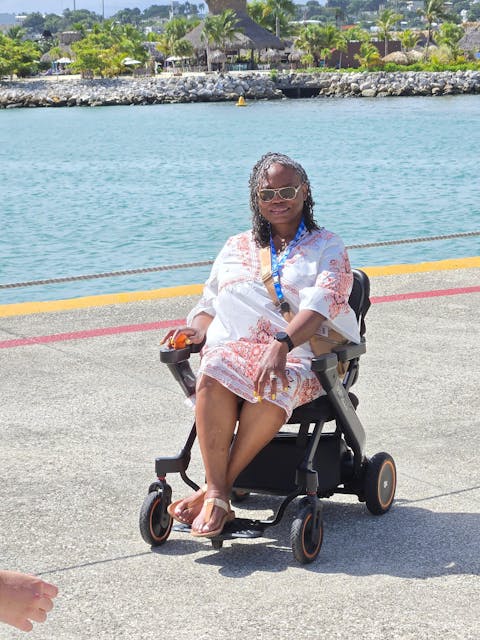 Paiseec 3-in-1 Electric Wheelchair W3