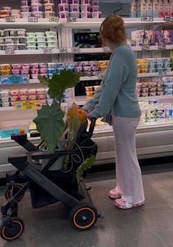 Paiseec 3-in-1 Electric Wheelchair W3