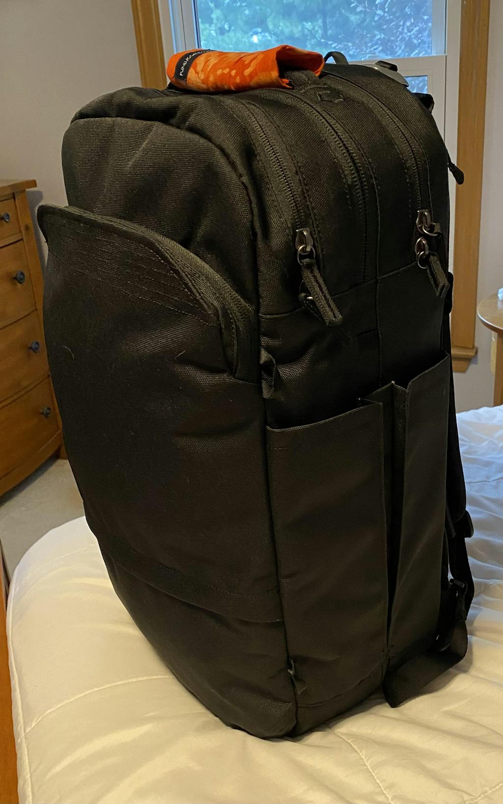 the pakt travel backpack amazon