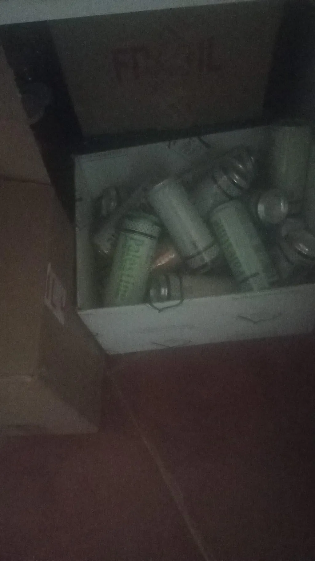 xPalestine Latas mixta (24 latas)