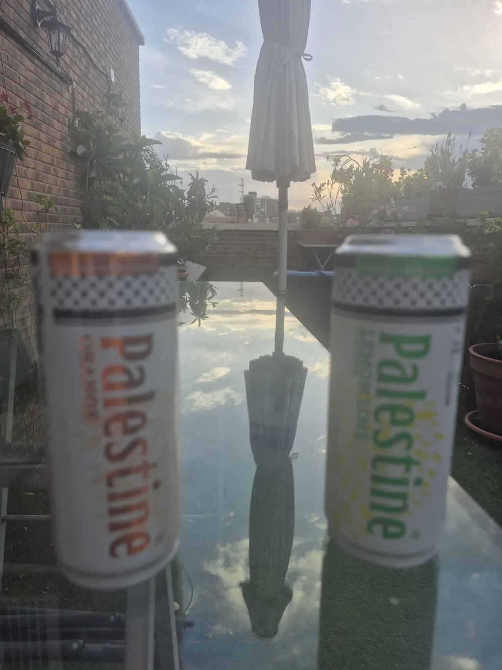 xPalestine Limonadas mix – 12x Naranja + 12x Lemon Lime