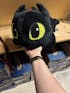 toothless and Light fury
