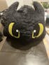toothless and Light fury