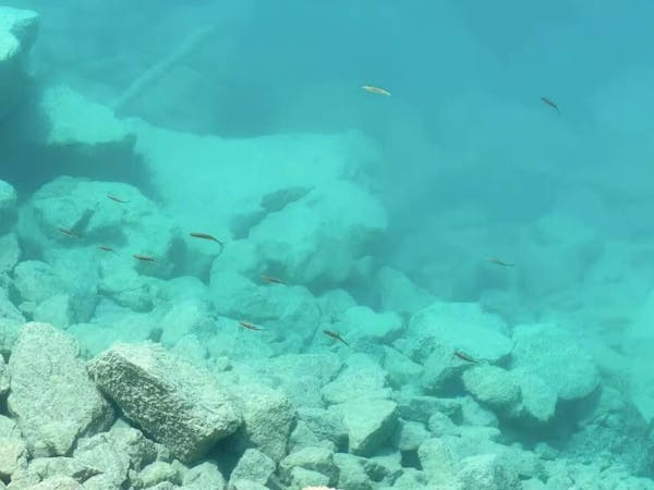 9‑Day Relaxed Tour to Jiuzhai Valley & Yangtze River