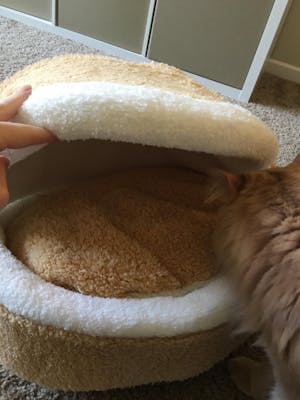 Hamburger Cat Bed