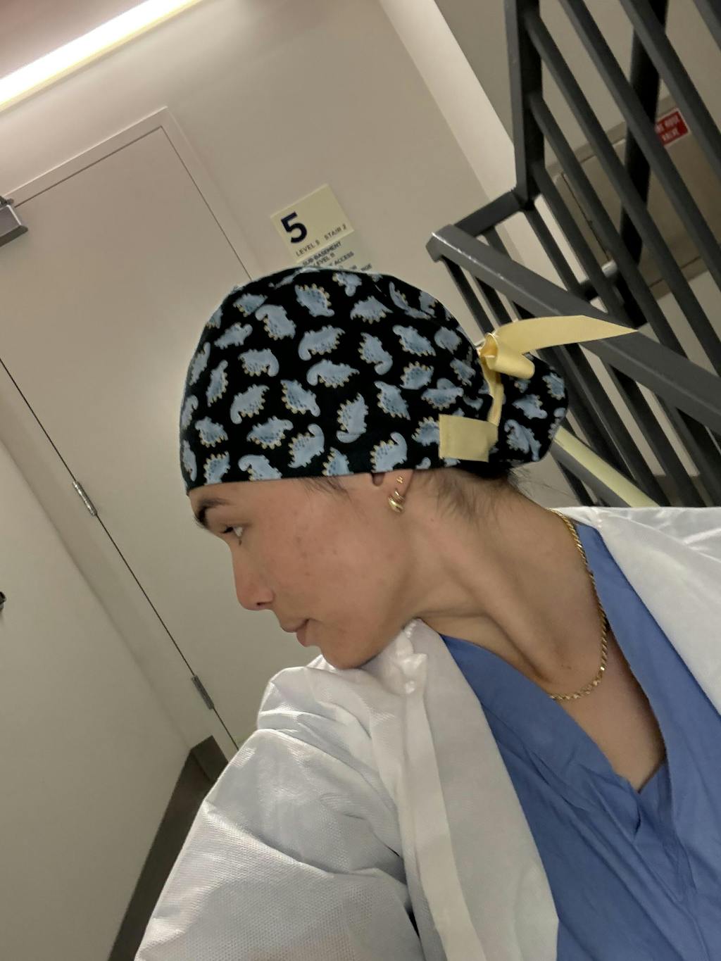 Dinosaur Euro scrub cap with ties for Women by Paradise Caps. Euro PLUS style.