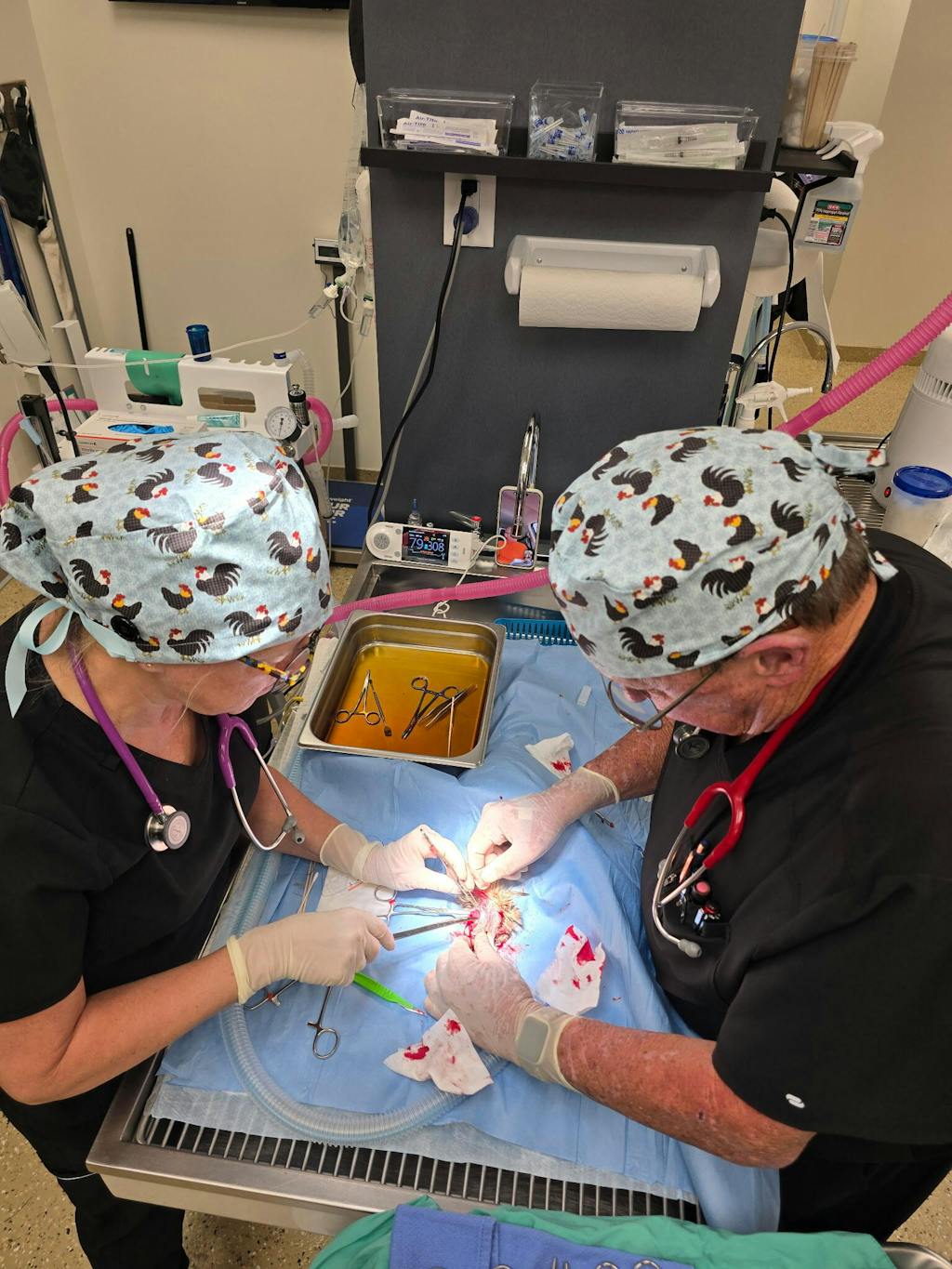 Chicken Skull tie-back style surgical scrub cap by Paradise Caps.