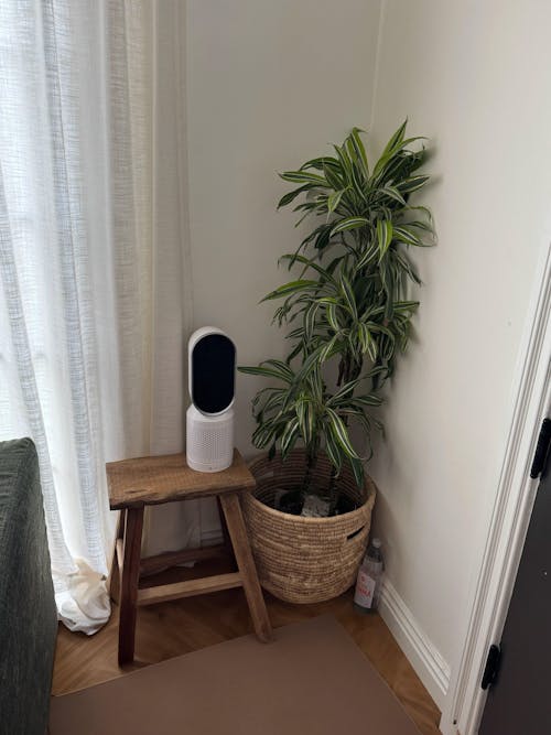 Partiküle Air Purifier