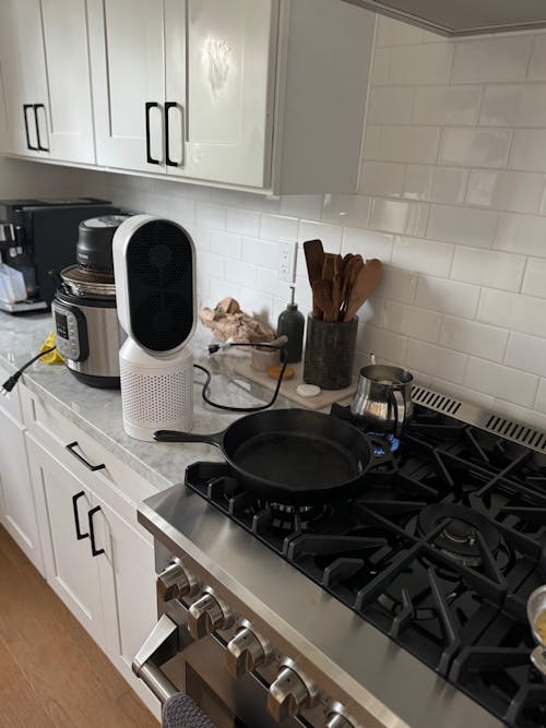 Partiküle Air Purifier