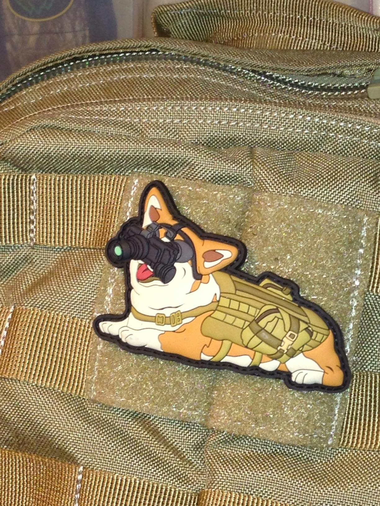 tactical corgi