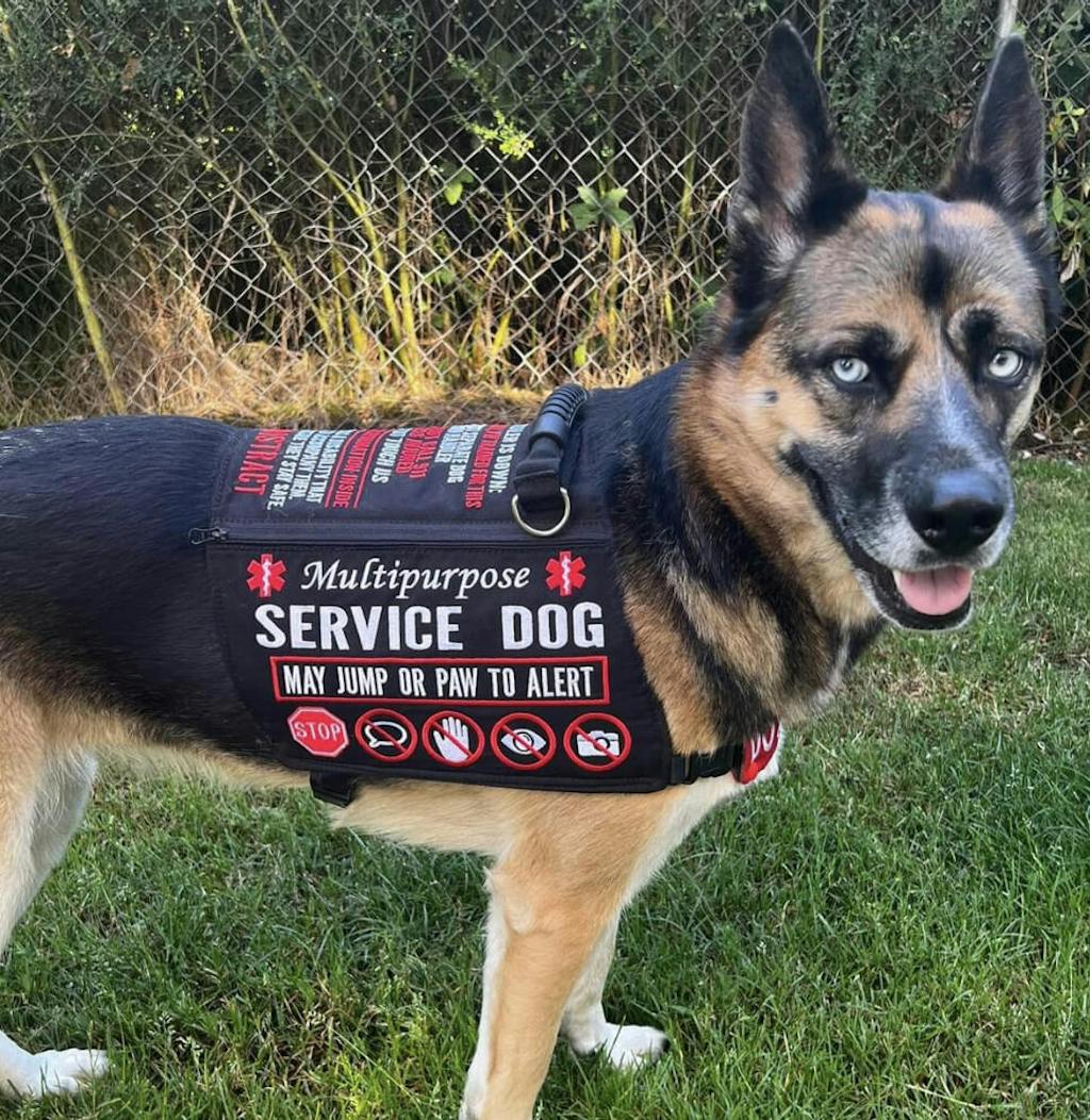 Long Body Style Custom Embroidered Vest – PatienceandLove143